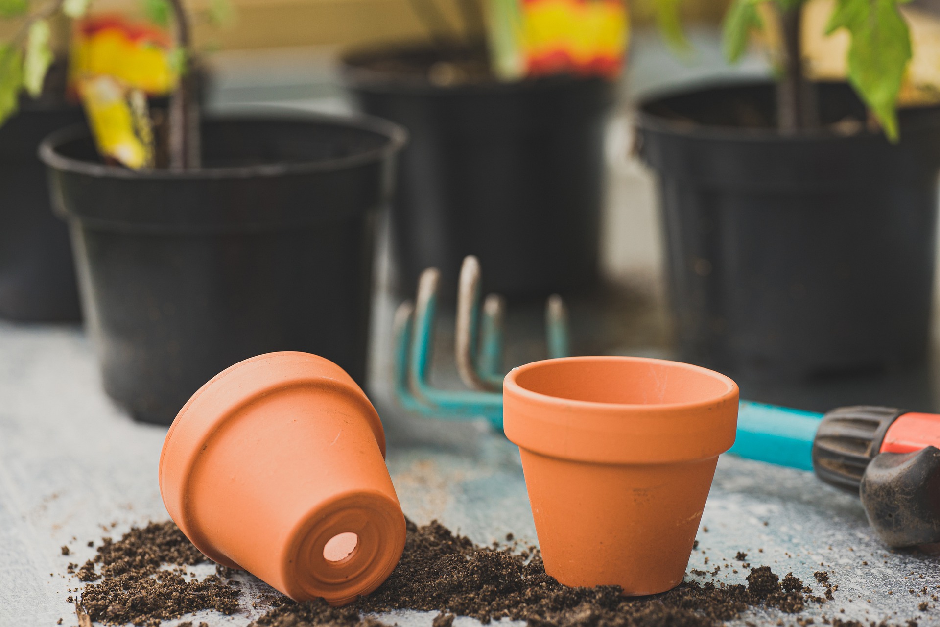 Can I put plastic and cardboard in my plant pots and then soil