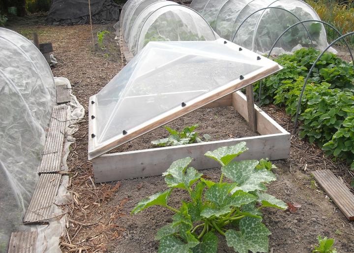 Cold frame and hoop houses