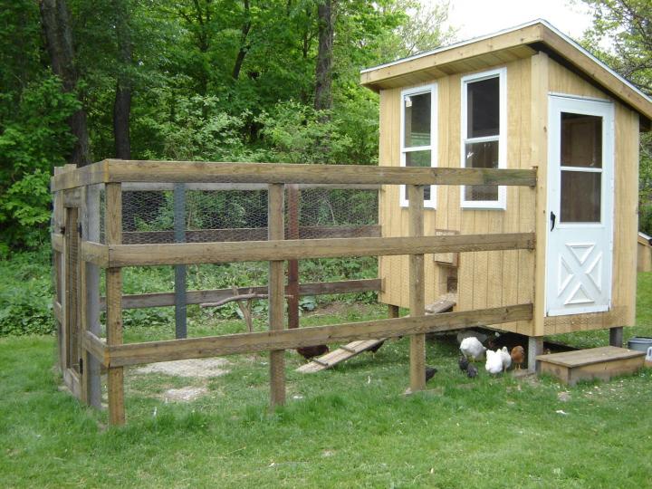 How to Build a Chicken Coop, DIY Chicken Coop Step by Step