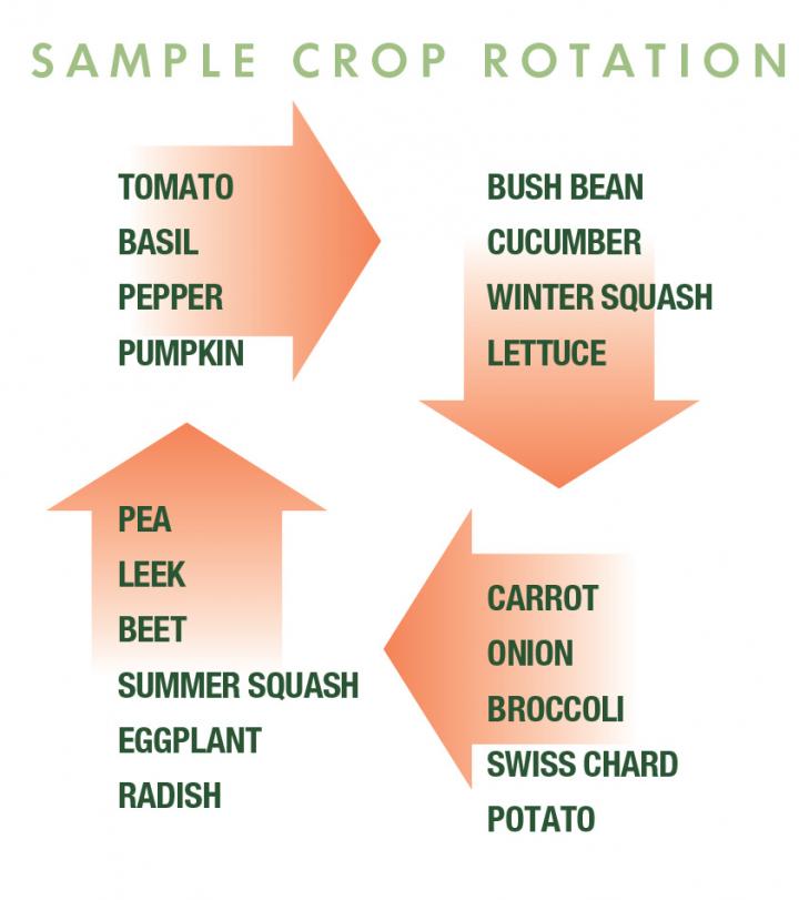 crop_rotation_chart_full_width.jpg