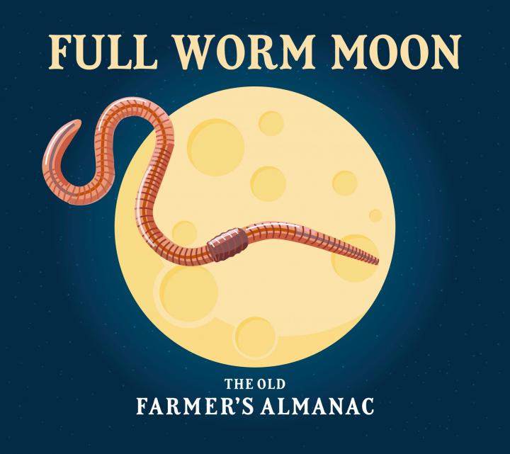 full worm moon of march