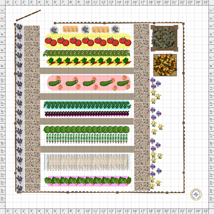 Vegetable Garden Layout Planning