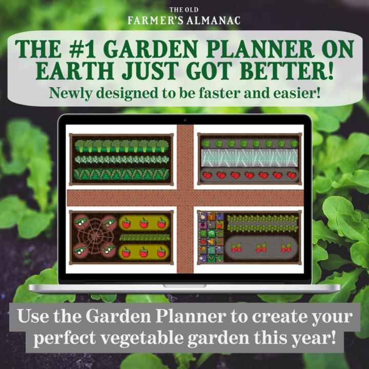garden_planner_no_link_full_width.jpg