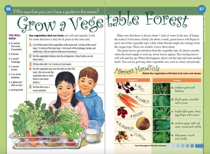 grow-veggie_0_full_width.jpg