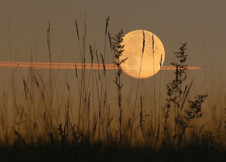 Harvest moon with plane flying in front of it