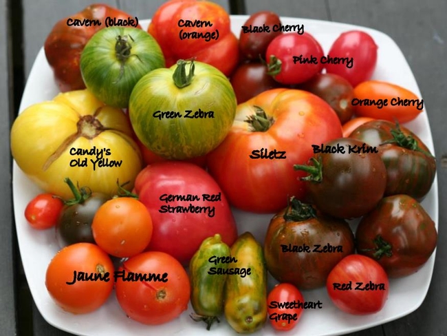 heirloom-tomatoes.jpg