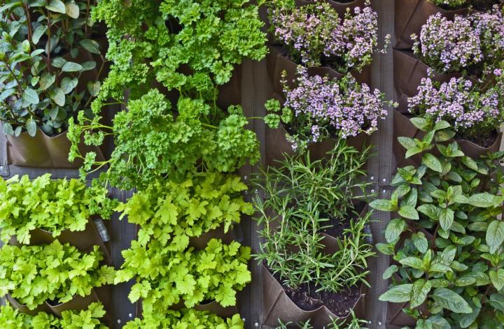 Best Make Outdoor Wall Planters You Will Read in 2021
