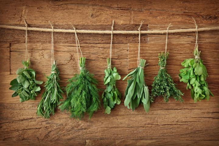 How to Store and Preserve Fresh Herbs - CNET