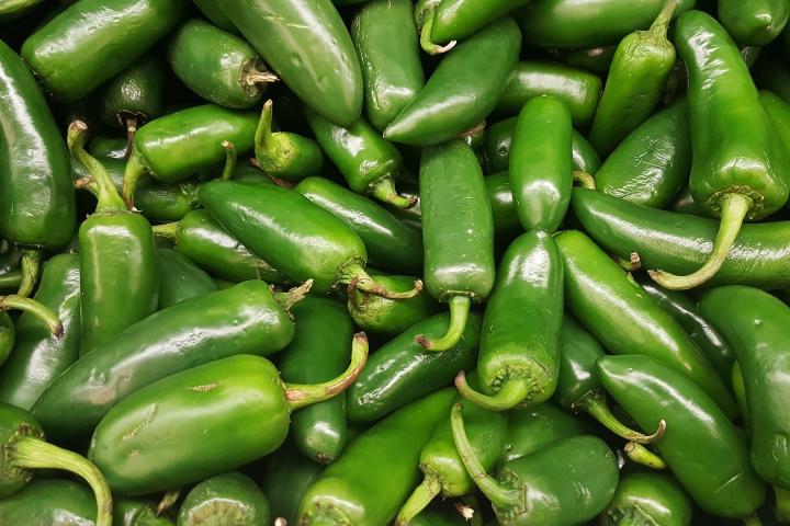 A large group of green jalapeno peppers