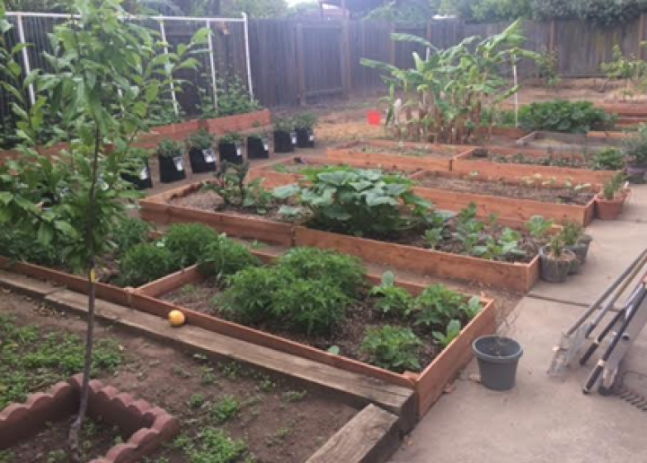 Vegetable Garden Planner Reviews Lisa, How To Plot A Vegetable Garden Layout