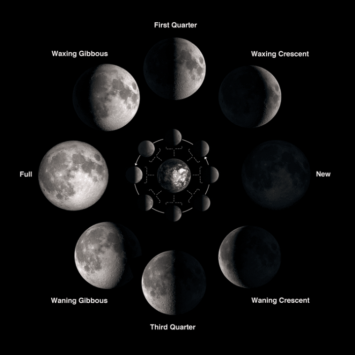 Half-moon , Full moon Shape Lunar phase Computer Icons, Moon Icon