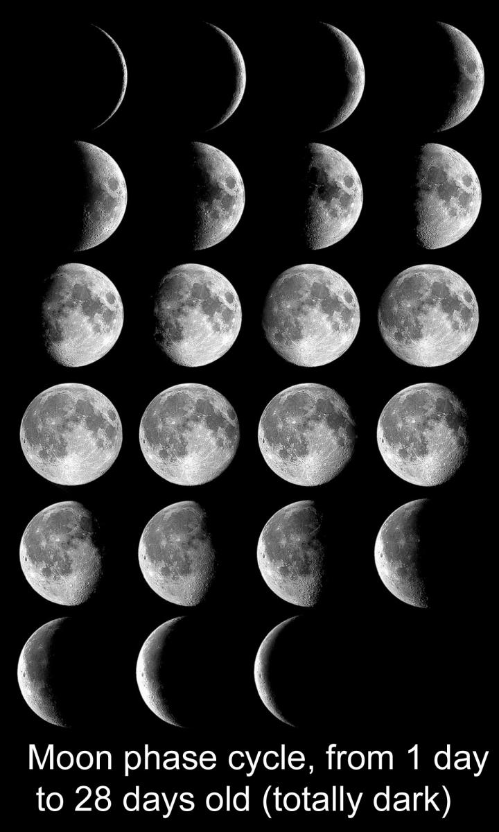 moon_phases_all_l_0_full_width.jpg