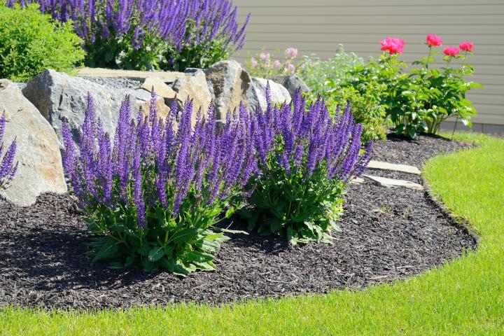 Mulching: How to Mulch Your Garden | Types of Mulch | The Old Farmer's  Almanac