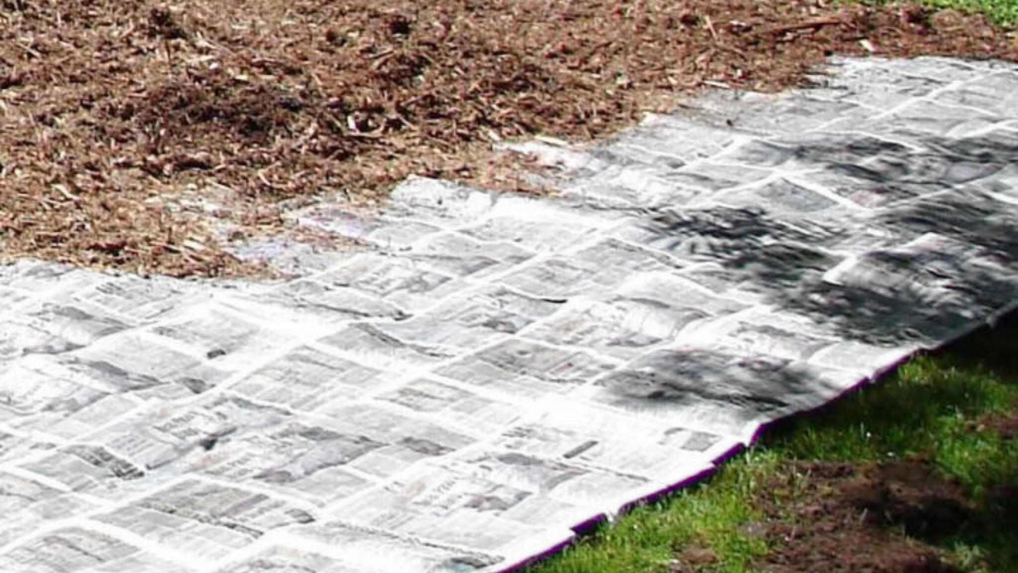 newspaper on the ground with mulch over it