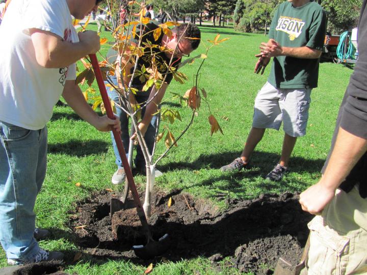 planting-tree.jpg