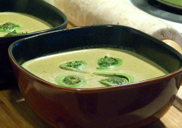 recipe-creamoffiddleheadsoup_bangordailynews.com_.jpg