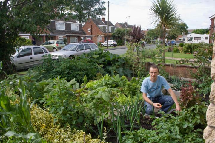 small_garden2_full_width.jpg