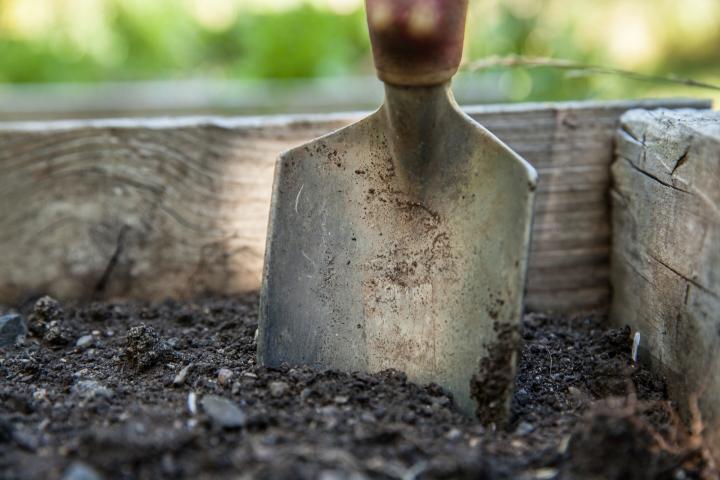 a shovel in the soil in a garden bed and soil
