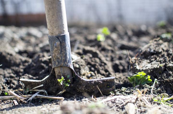 Shovel in garden soil