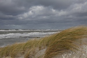 stormy surf