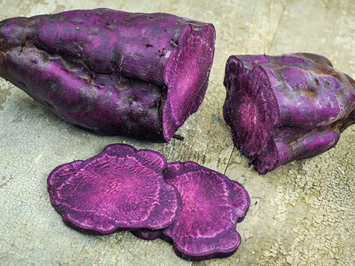 sweet-potato-molokai-purple-lss-31_0.jpg