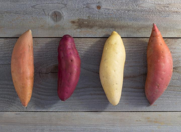 sweet-potato-varieties_full_width.jpg