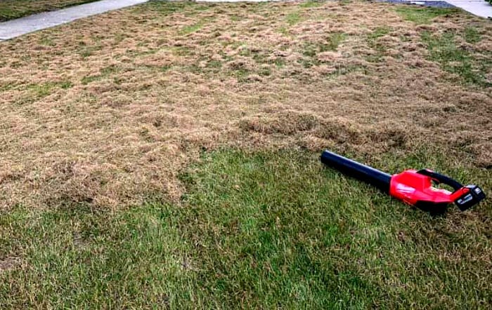 Once you dethatch the lawn with a rake or power dethatcher, rake up the newly exposed thatch.