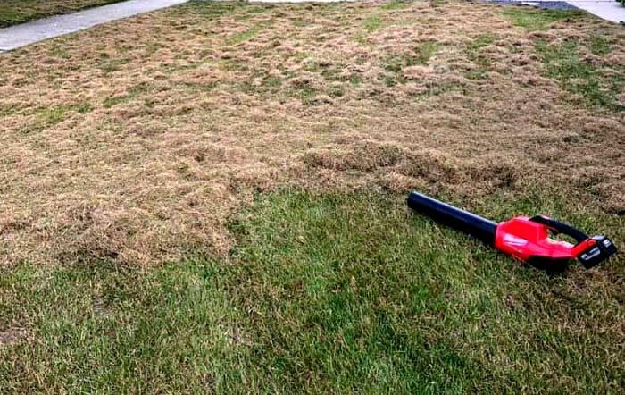 Once you dethatch the lawn with a rake or power dethatcher, rake up the newly exposed thatch. 