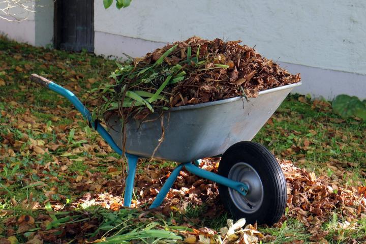 wheelbarrow with leaves