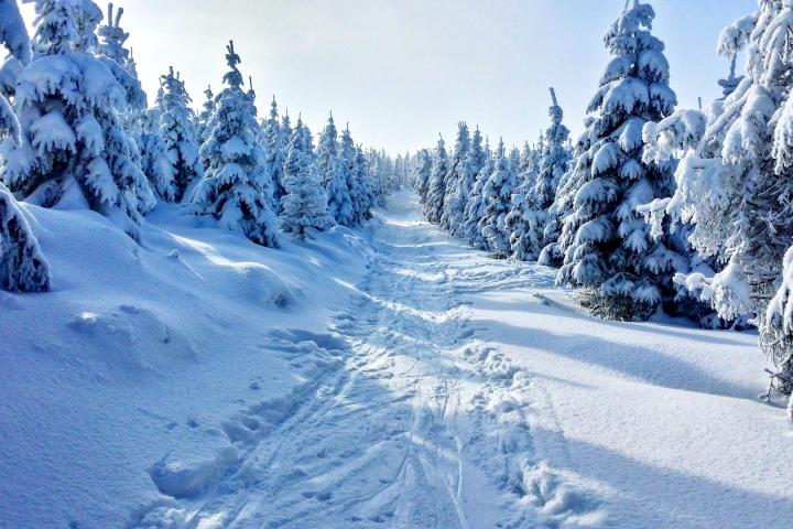 winter-snow-tracks_full_width.jpg