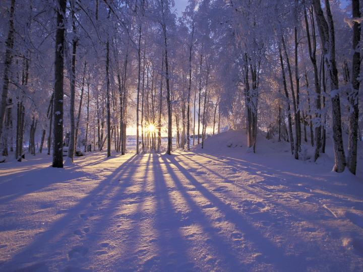 Winter solstice sun peaking through the trees with snow