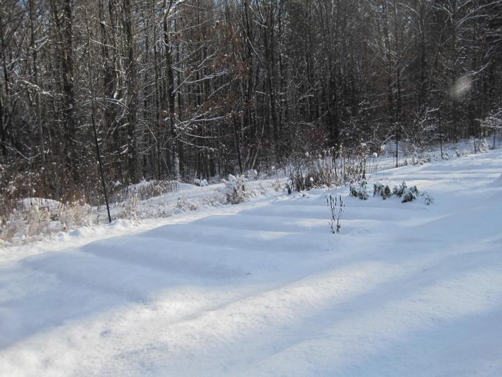 img_6011_full_width.jpg