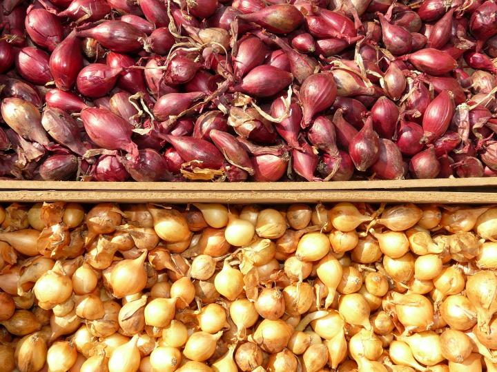 red and yellow shallots