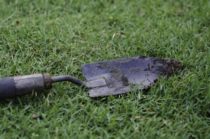hand trowel in the grass
