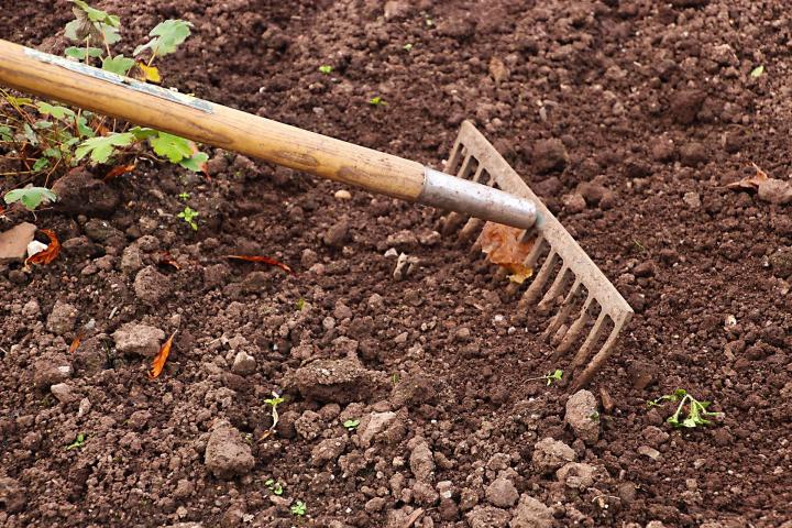 garden rake in the soil